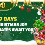 7 days christmas rebates